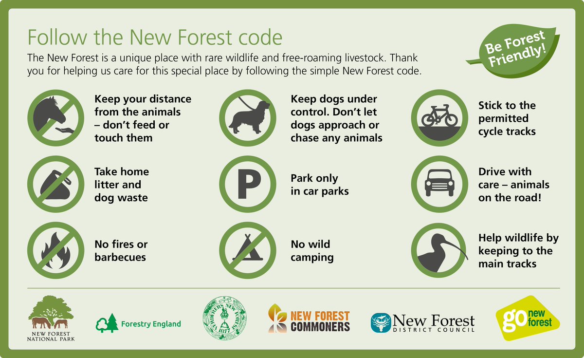 Go New Forest Cic Gonewforest Twitter