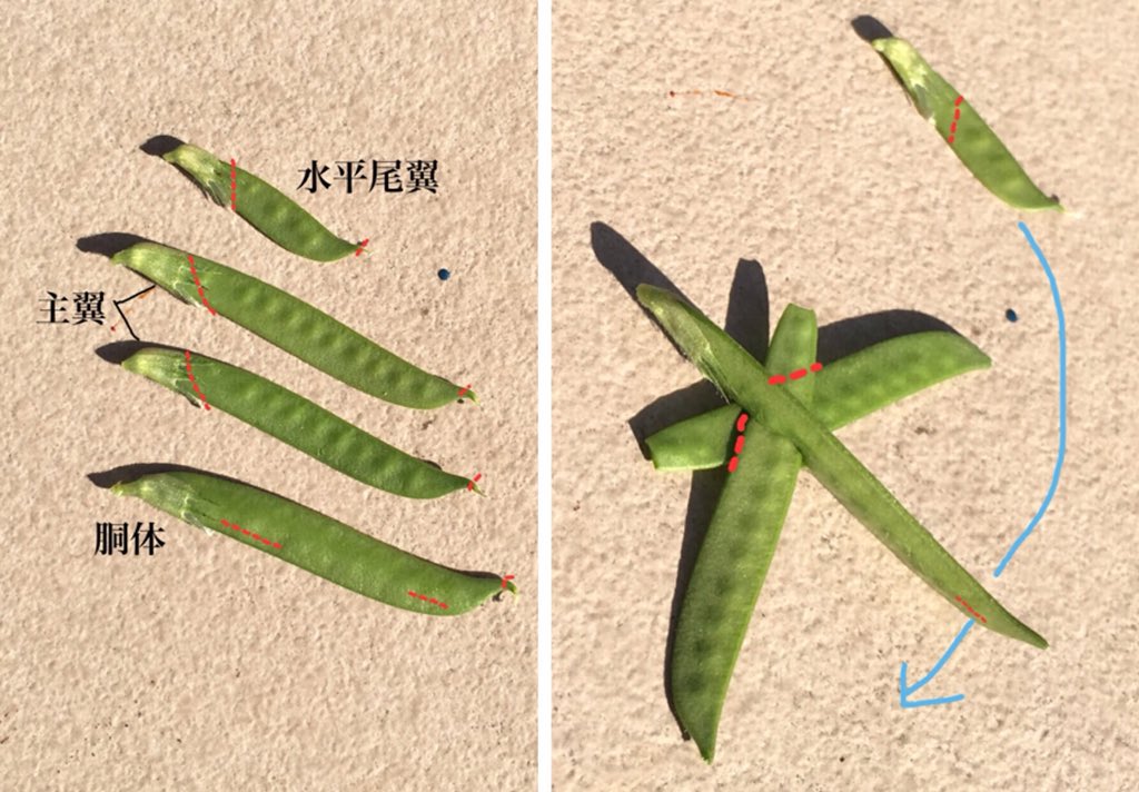 むにえる Paci0501 Twitter