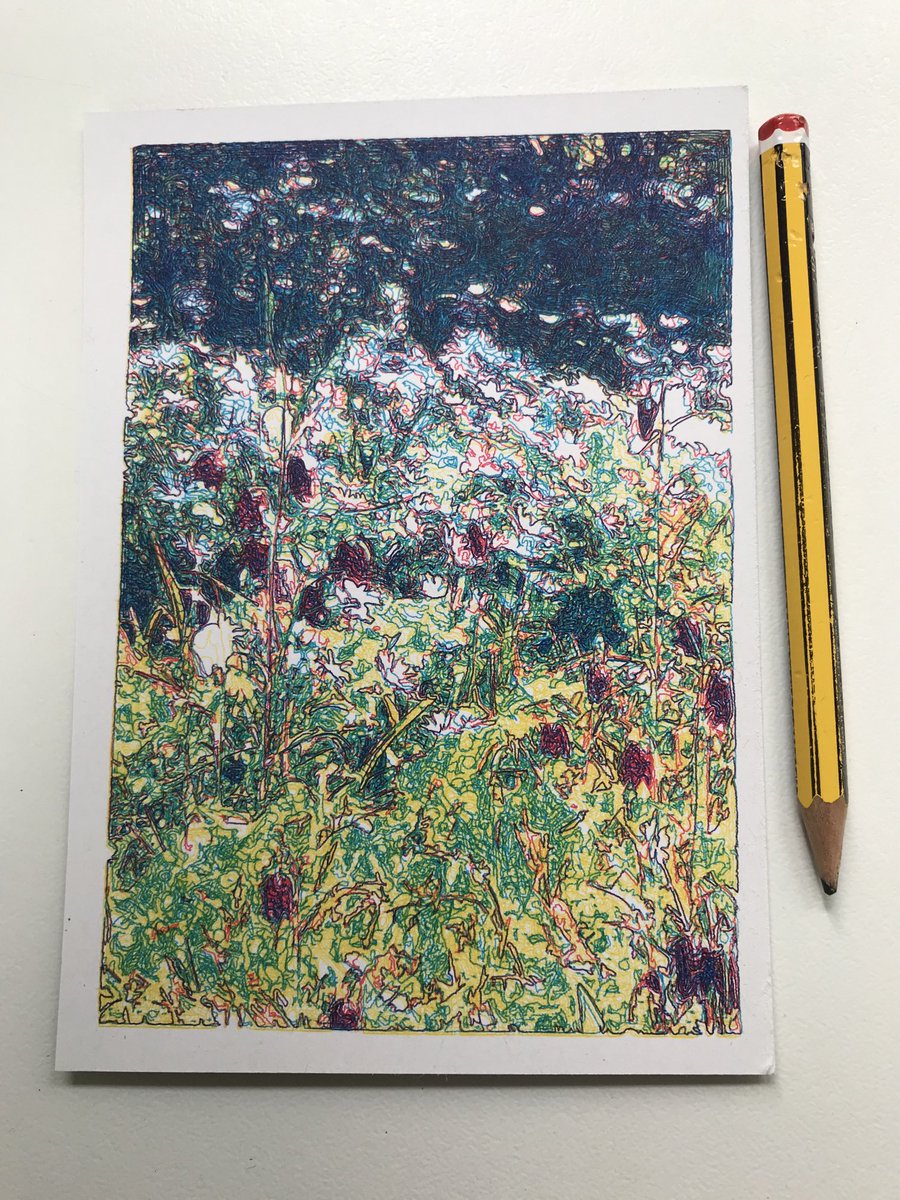DrRJMondragon's tweet image. Kifstgate Court gardens, Costwolds, blue, red and yellow gel pens, #plottertwitter #vplotter