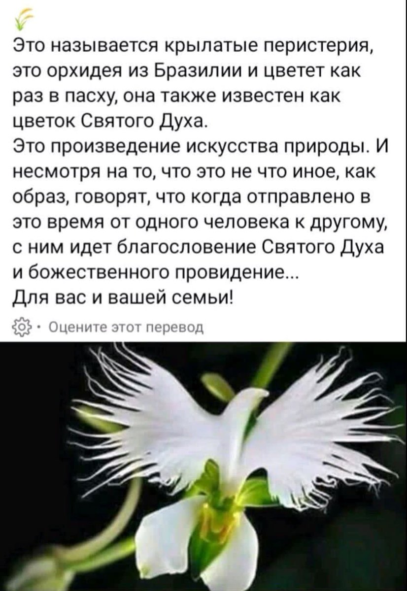 Правда или нет... но красиво