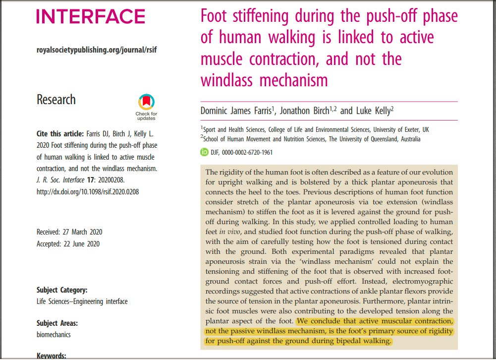 Foot stiffening during the push-off phase of human walking is linked to active muscle contraction, and not the windlass mechanism 

👀👀👇👇🦶🦶

pubmed.ncbi.nlm.nih.gov/32674708/