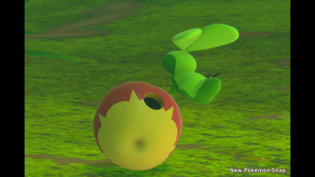 戌井 犬 No Twitter カジッチュの中身可愛い Newポケモンスナップ Newpokemonsnap Nintendoswitch T Co Ekkofsmvai Twitter