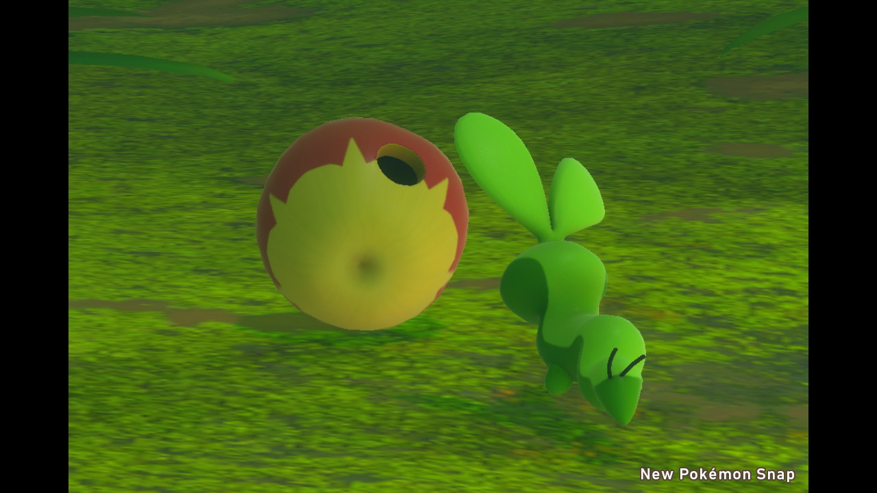 Twitter 上的 いなりさん Rt Rabbitbunny カジッチュの中身可愛い Newポケモンスナップ Newpokemonsnap Nintendoswitch T Co Ekkofsmvai Twitter