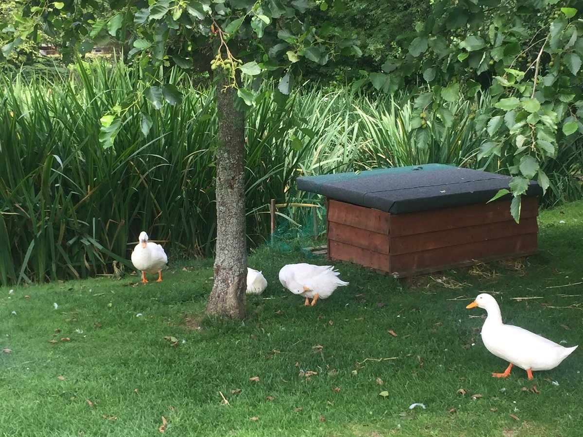 Not letting the rain dampen our spirits... we’re excited to be reopening on 2nd of June #reopening #hotelbreak #whenwetravelagain #brooklodge #summerholiday #macreddin #wicklow #bankholidaymonday