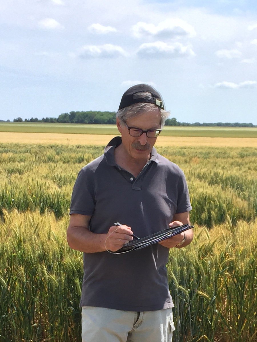 [Merci Philippe !] P Lonnet passe la main après 44 ans en tant que Dir de recherche en Céréales et P. Il est le créateur de nombreuses variétés à succès (SOISSON, CELLULE...) et a conduit le développement de nos activités de recherche à l'étranger (Argentine, Hongrie). #bravo