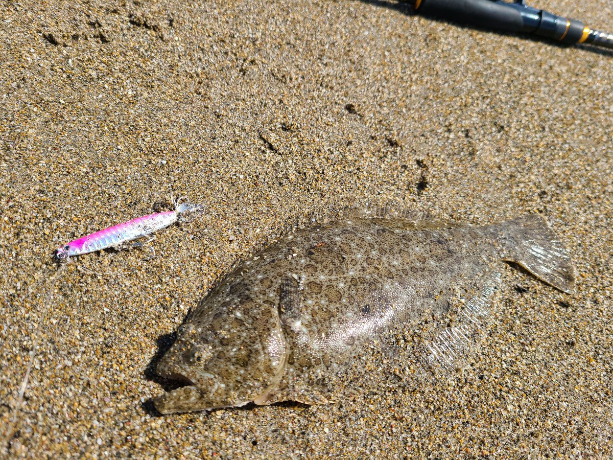 ジグパラサーフ