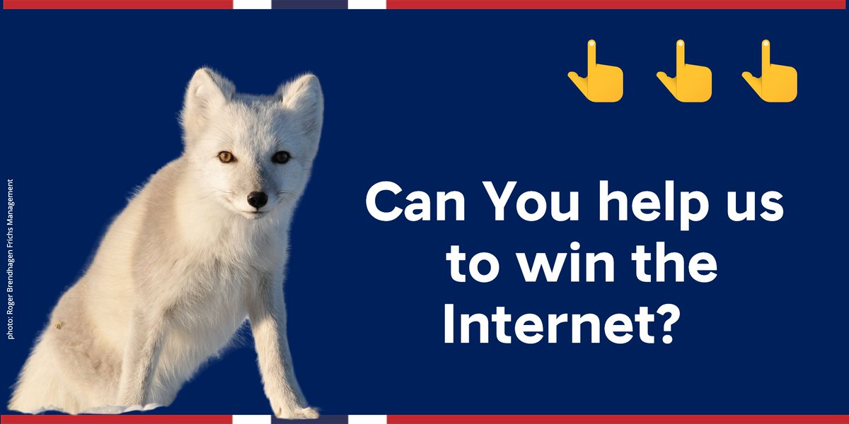 visitnorway's tweet image. Help Norway win People’s Voice award. Vote here: vote.webbyawards.com/PublicVoting#/… @TheWebbyAwards #webby #norway #Webby2021