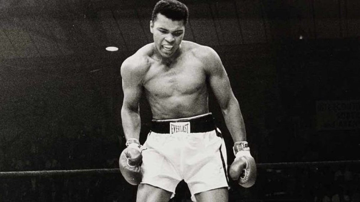 Bonjour la communauté 🌞 

Aujourd'hui une petite citation pour vous motivez ! 

"La vie est un combat. Peu importe les coups, riposte jusqu'à gagner. "

•Mohamed Ali• 

Rt x fav apprécié ♻️💛