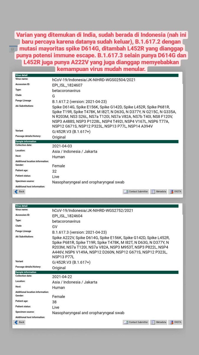 Varian yang muncul di India sudah ditemukan di Indonesia. Baik B.1.617.2 dan B.1.617.3 membawa mutasi spike L452R yang membuat virus memiliki kemampuan immune escape, menghindari netralisasi antibodi. Mutasi spike D614G dan A222V dianggap menyebabkan kemudahan penuluran
