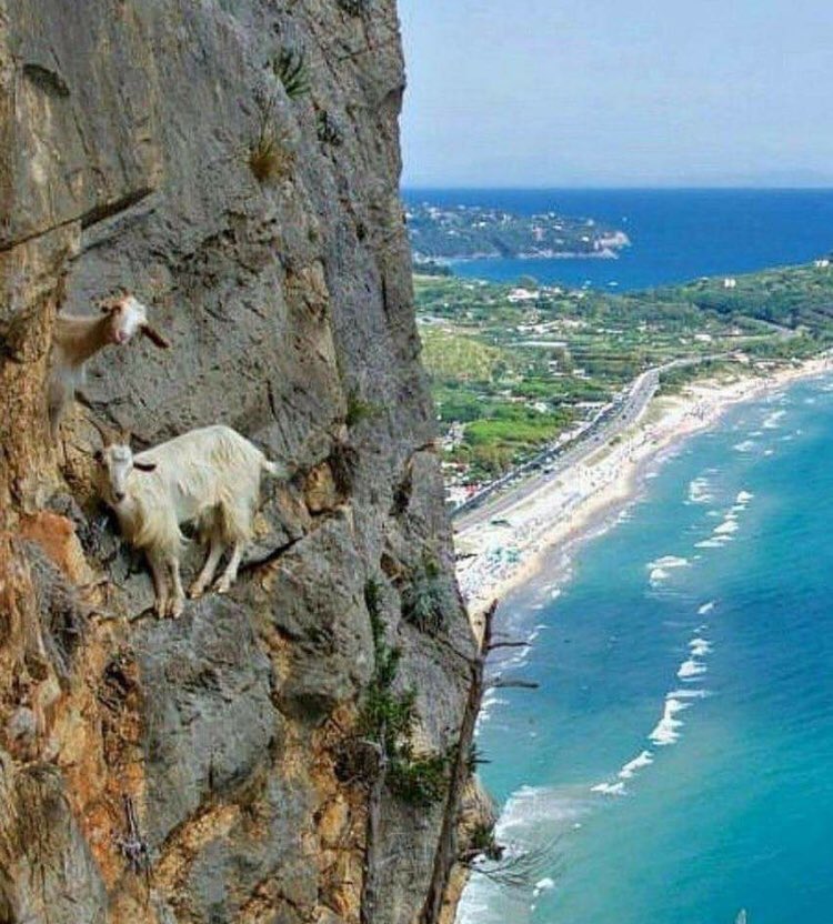 Tatil beldesinde Türklerin zabıta ile imtihanı