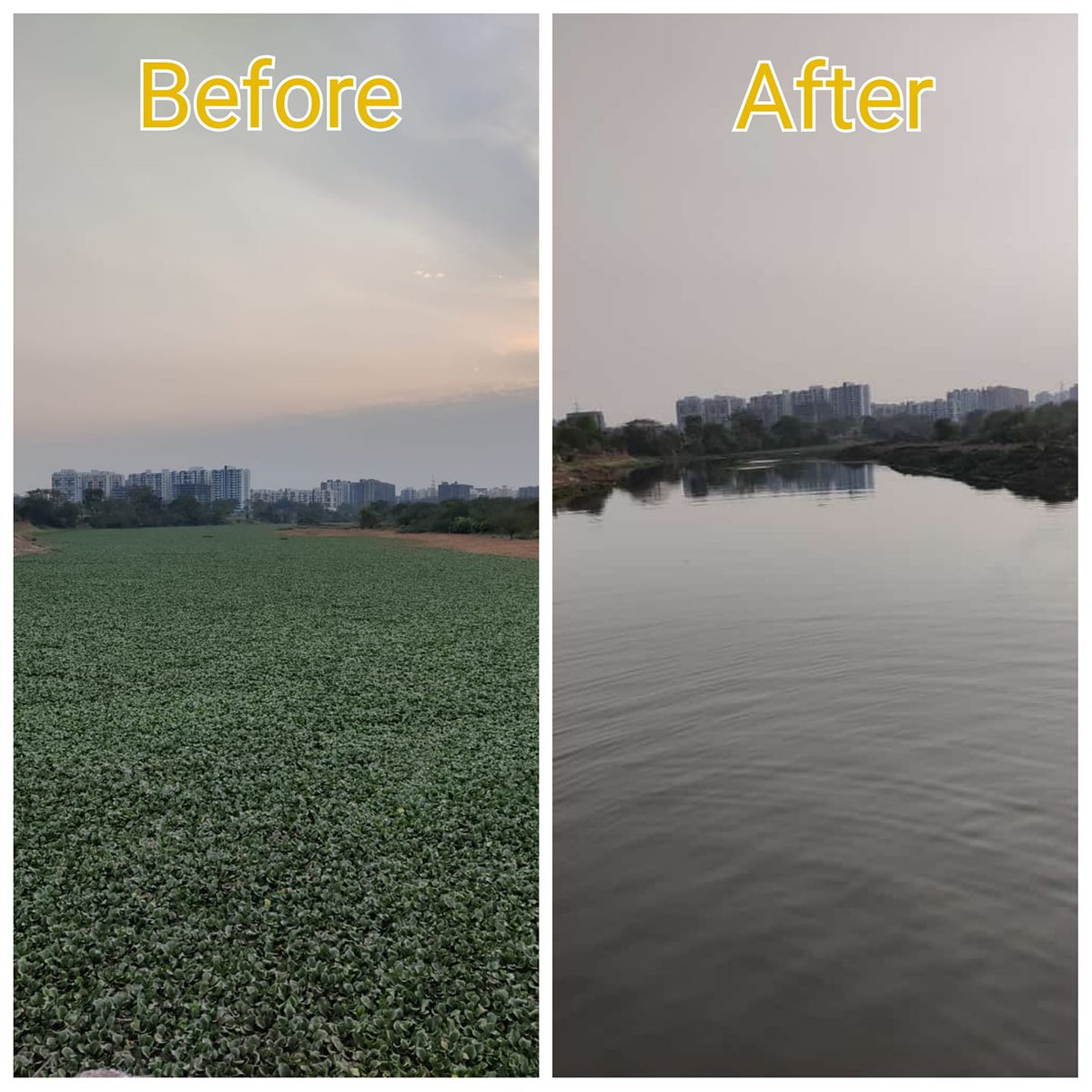 pcmcindiagovin's tweet image. #CleanRiverForNextGeneration 
पिंपरी चिंचवड महानगरपालिका ,रानजाई संस्थान देहू, अविरत श्रमदान, महेशदादा स्पोर्ट्स फॉउंडेशन यांच्या सहयोगाने इंद्रायणी नदी झाली जलपर्णीमुक्त.

#PCMCSmartSarathi #स्वच्छ_नदी #स्वच्छ_जीवन #Nature