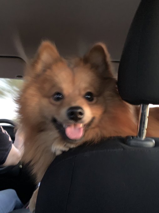 Todo por ti y siempre para ti 🤍. Te amo kenooooooooo, y q vea todo el mundo lo guapo que est&aacute;s mi amor🥰<a href="/tag/newprofilepic"class="tags"><span>#newprofilepic</span></a>