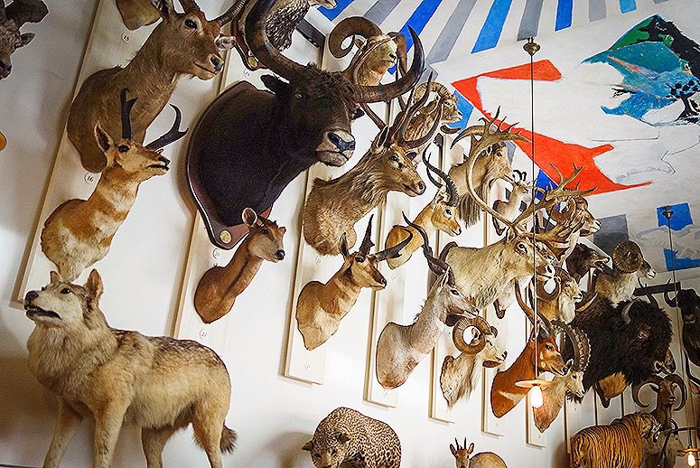 ECOAlphaTango's tweet image. NOT eat them BUT satiate your sadistic, narcissistic impulses 👇🏻

The vast majority of ordinary people scorn and hate you. 
#Wildlife #TrophyHuntingIsNotConservation #Hunting #Sadists #Psycho #Zoosadists