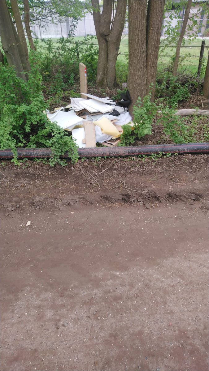 Will de Graaff tweet media