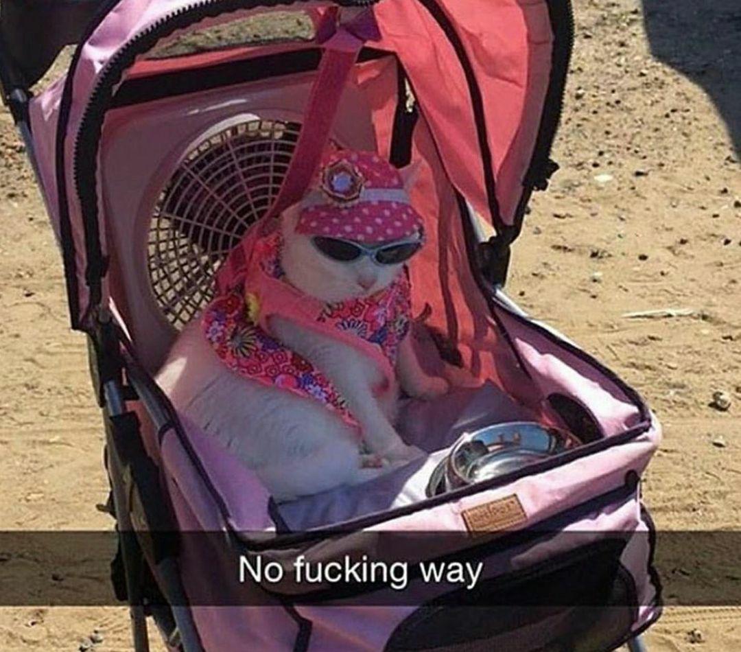 JULES_BOURNE 🌻 tweet media