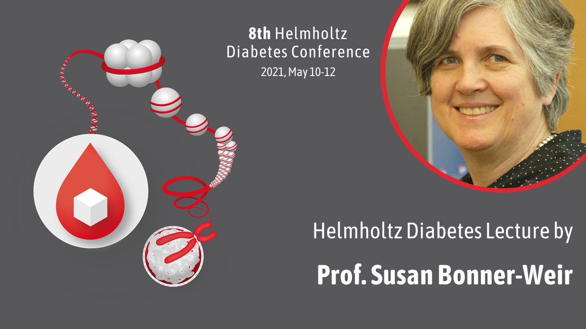 'The ever changing #betacell'

At the upcoming Helmholtz Diabetes Conference, we are honored to have Prof. Susan Bonner-Weir giving the Helmholtz #Diabetes #Lecture. @JoslinDiabetes @harvardmed 

✅Supported by @DiabResearch 
➡️bit.ly/3udnUet

#HelmholtzDiabetes2021 🩸