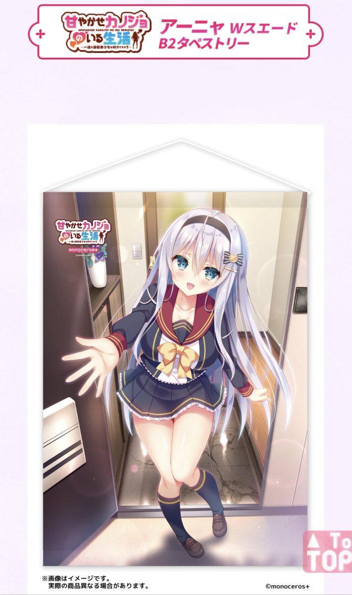 公式のリンク先だとメロンブックスとあみあみとAmazonでまだあった〜☺️よかった〜! https://t.co/gkWoFNUwfQ 