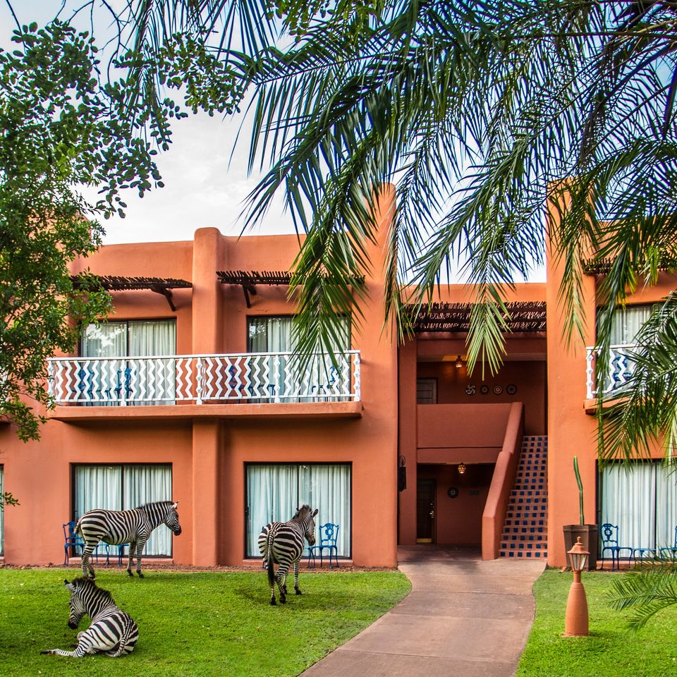 Ready with everything you need for an ultimate home away from home escape! With an exclusive Zambian Resident rate.

Book now mhg.to/62iiq.

#avanivictoriafalls #zebras #superbzambia