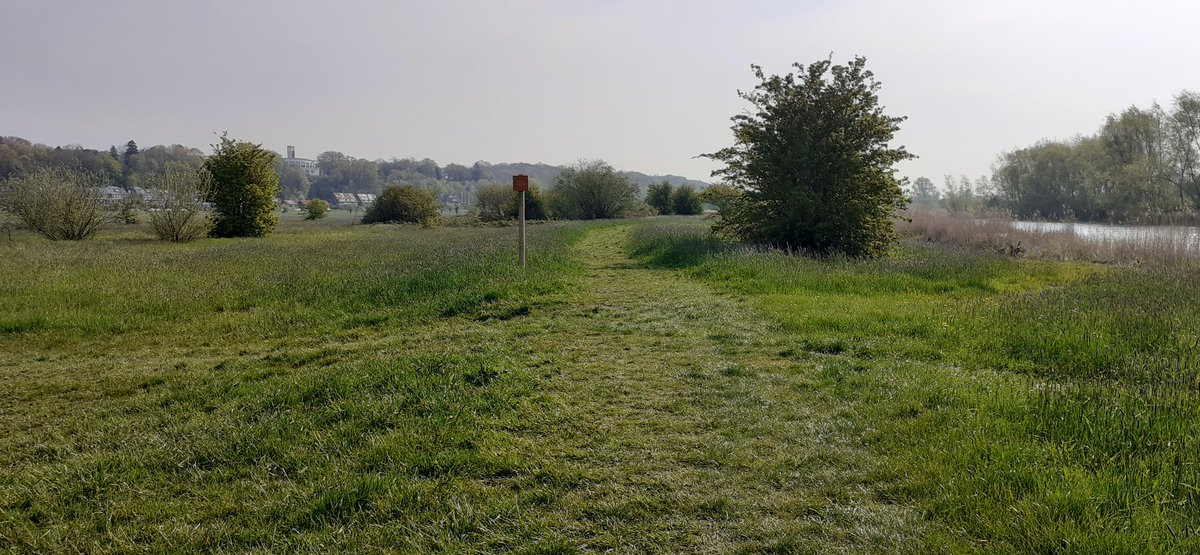 Voor velen is het niet duidelijk dat dit stuk in de Wageningse bovenpolder in het broedseizoen  afgesloten is. Daarom wordt er een raster gemaakt. Na 15 juli maken wij er een klaphek in.