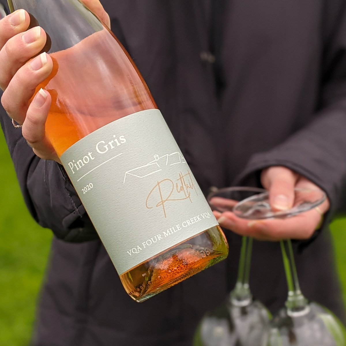 RedtailPEC's tweet image. Grey skies call for Gris 🌧️🧡🥂 

Our 2020 Pinot Gris is filled with lush stone fruit and texture for days. Grab this bottle of sunshine at redtailvineyards.com to chase the clouds away 🌤️