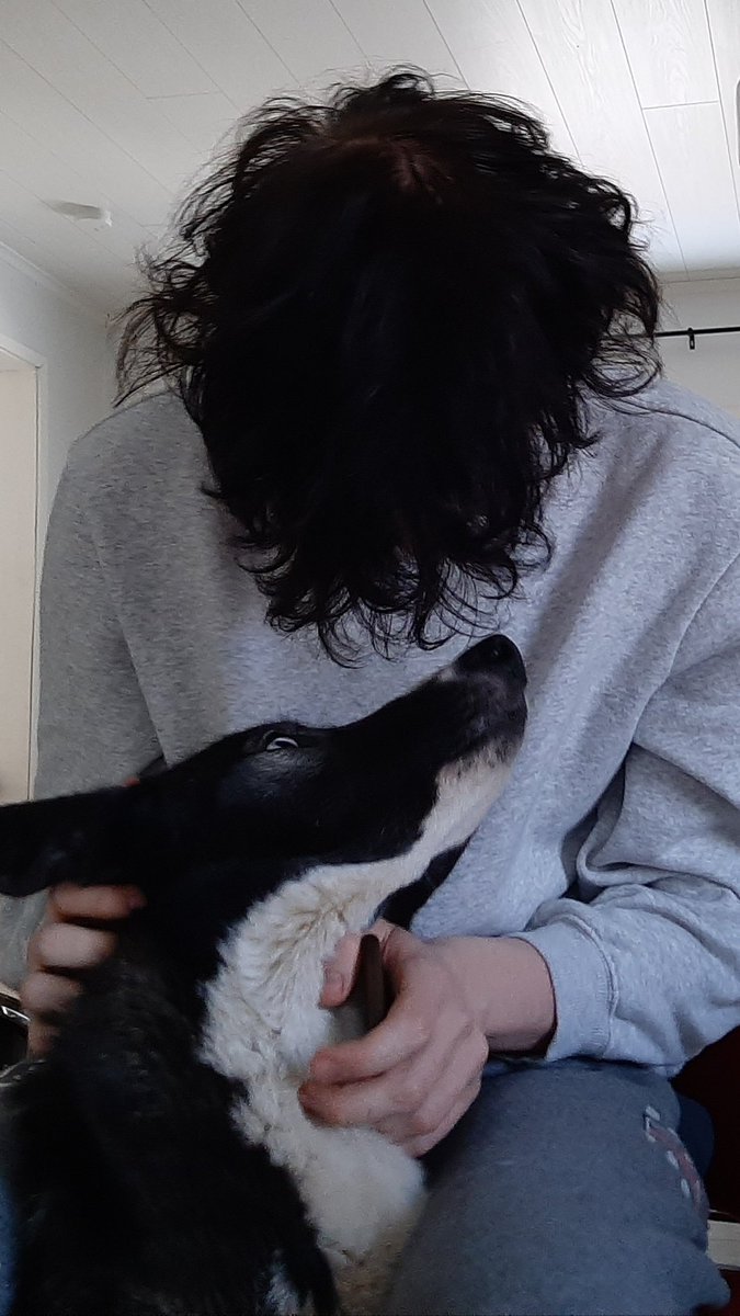 tuulitytti's tweet photo. A boy and his #husky ❤ https://t.co/MLp7TYJBqJ
