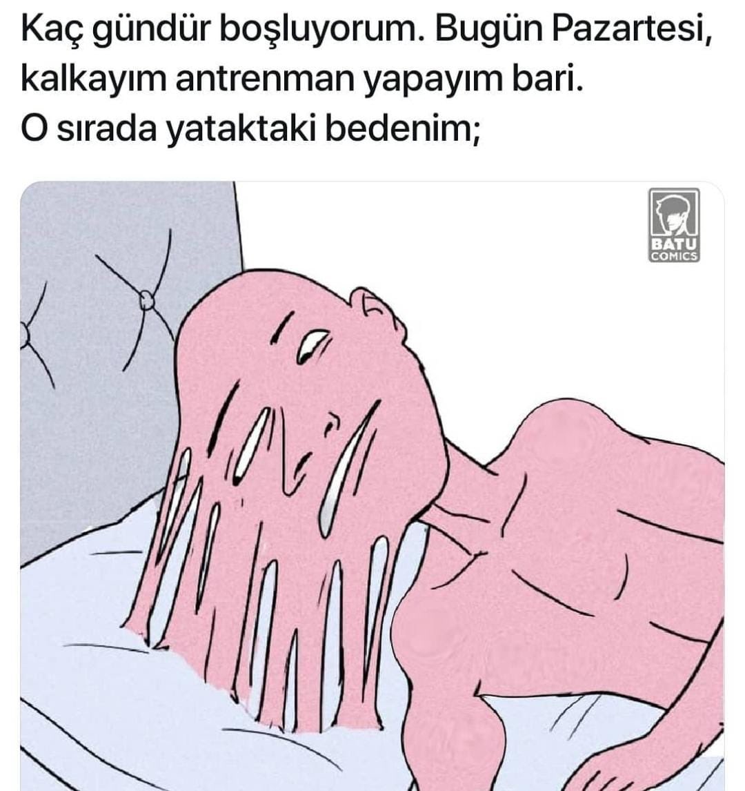 Filiz (@filizees) on Twitter photo 