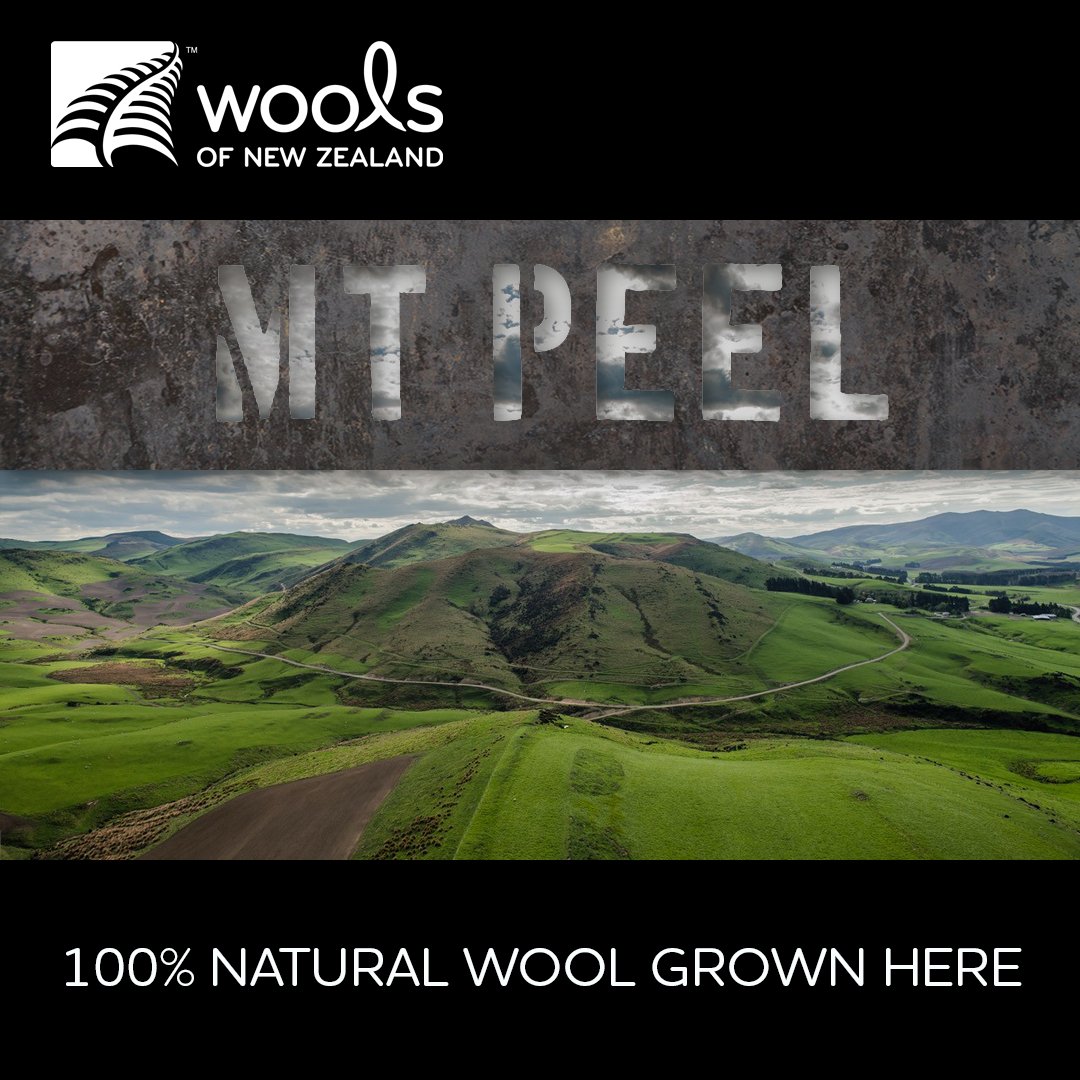 Wools of New Zealand tweet media