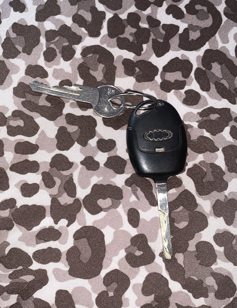 Please please can everyone share.... found these keys over the weekend.. Please get these back to the owner. Can’t remember where I would of picked them up but been at no3 and along Whitegate drive. Thanks ✨
