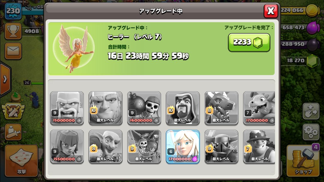 やはり、初めに優先したいアップグレードはヒーラーでした😅
クーヒーどんな感じになるんかなぁ〜？楽しみです！