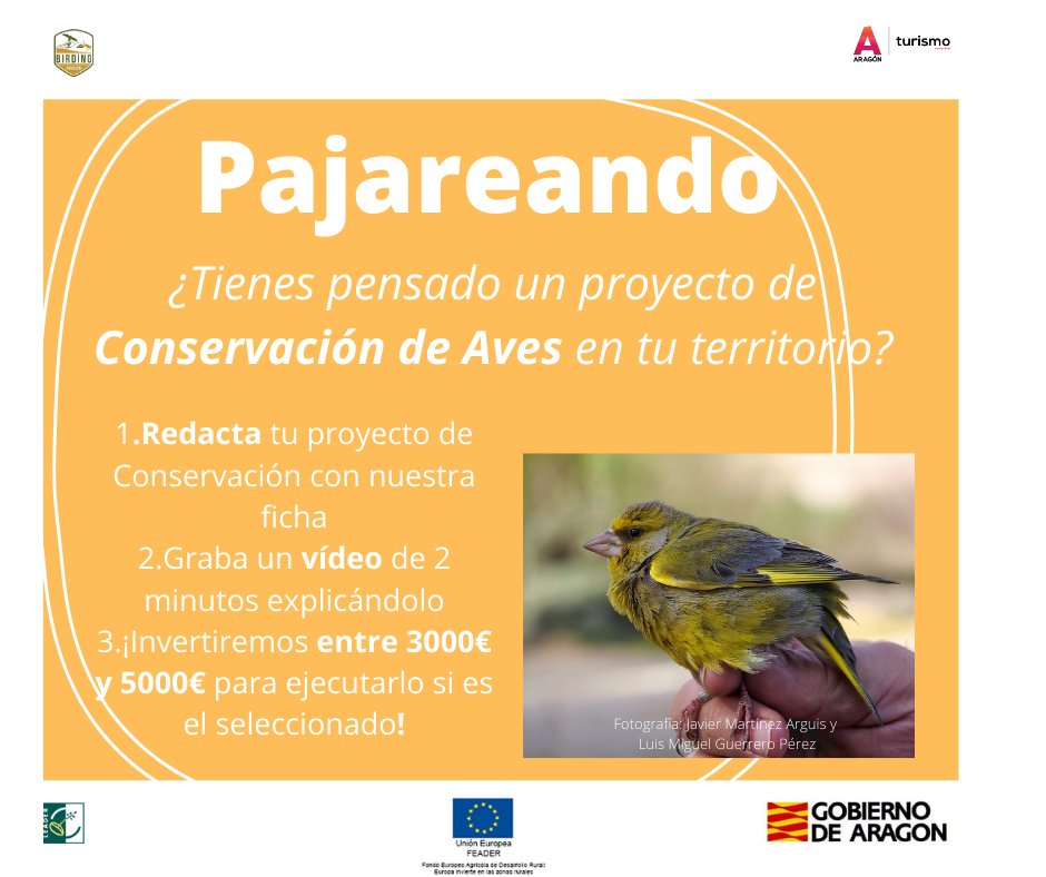 RT <a href="/BirdingAragon/">BirdingAragon</a>: 📣 📣 Hasta el 19 de mayo ‼️ puedes presentar propuestas a los proyectos piloto 🐦 «Pajareando» y «Ciento Volando» de #BirdingAragón para apoyar proyectos ambientales sobre #ornitología
birdingaragon.com/birding-aragon… 
 #OrnitologíaAragón