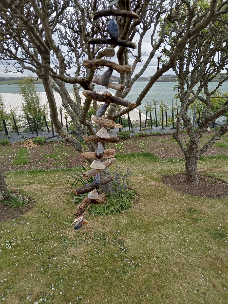 HollowLeafy's tweet photo. A blustery day @#padstow #BankHolidayMonday #weather#keepyerhaton #blowthecobwebsaway#leafyhollow https://t.co/8tUPbxk7wu