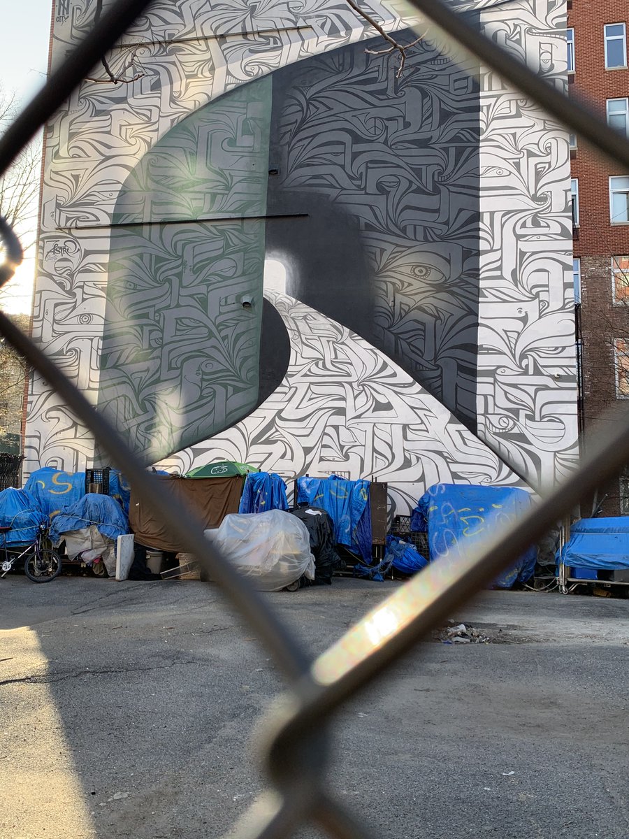 Lisa Adams tweet media