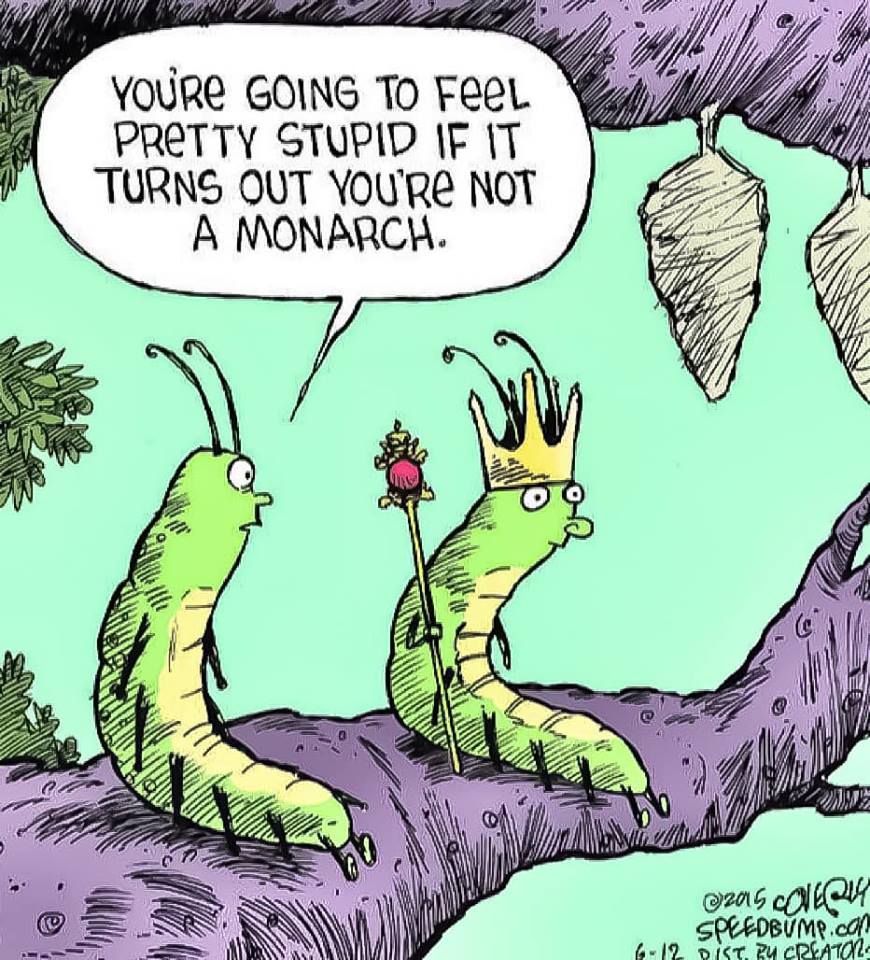 Here's a Monarch butterfly inspired #science laugh to get your week off to a great start! #DoSomeScience