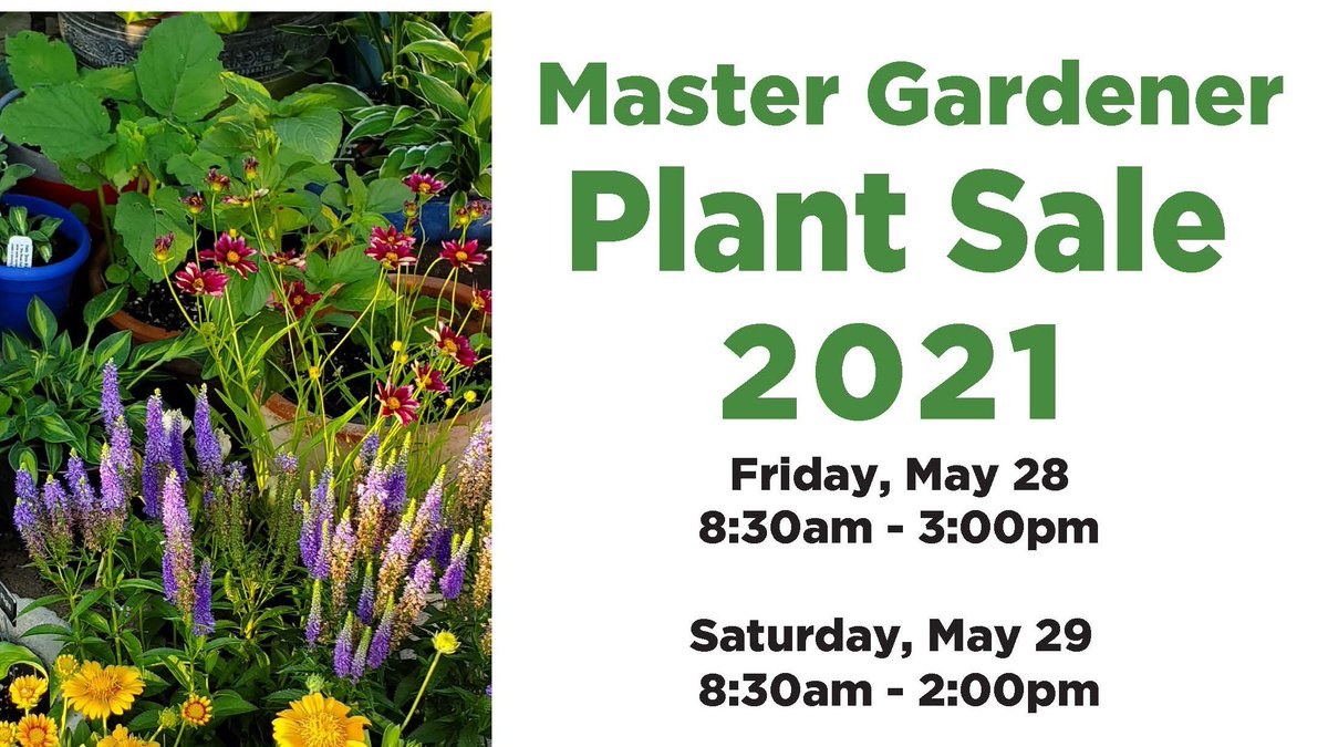 The CCE Erie Master Gardener Program will hold their Annual Plant Sale, 5/28 and 5/29 at the First Presbyterian Church of Buffalo, One Symphony Circle, Buffalo, New York 1420. erie.cce.cornell.edu/events/2021/05…