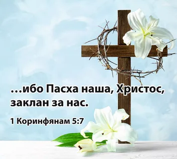 spbsanay's tweet photo. Христос воскрес !!! https://t.co/PJsuFWq1Ya