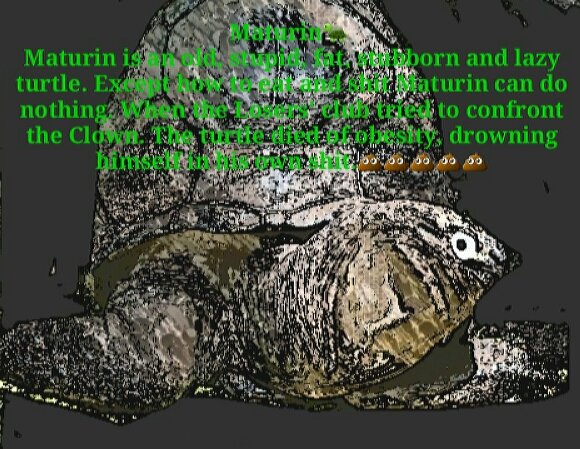 Maturin the turtle