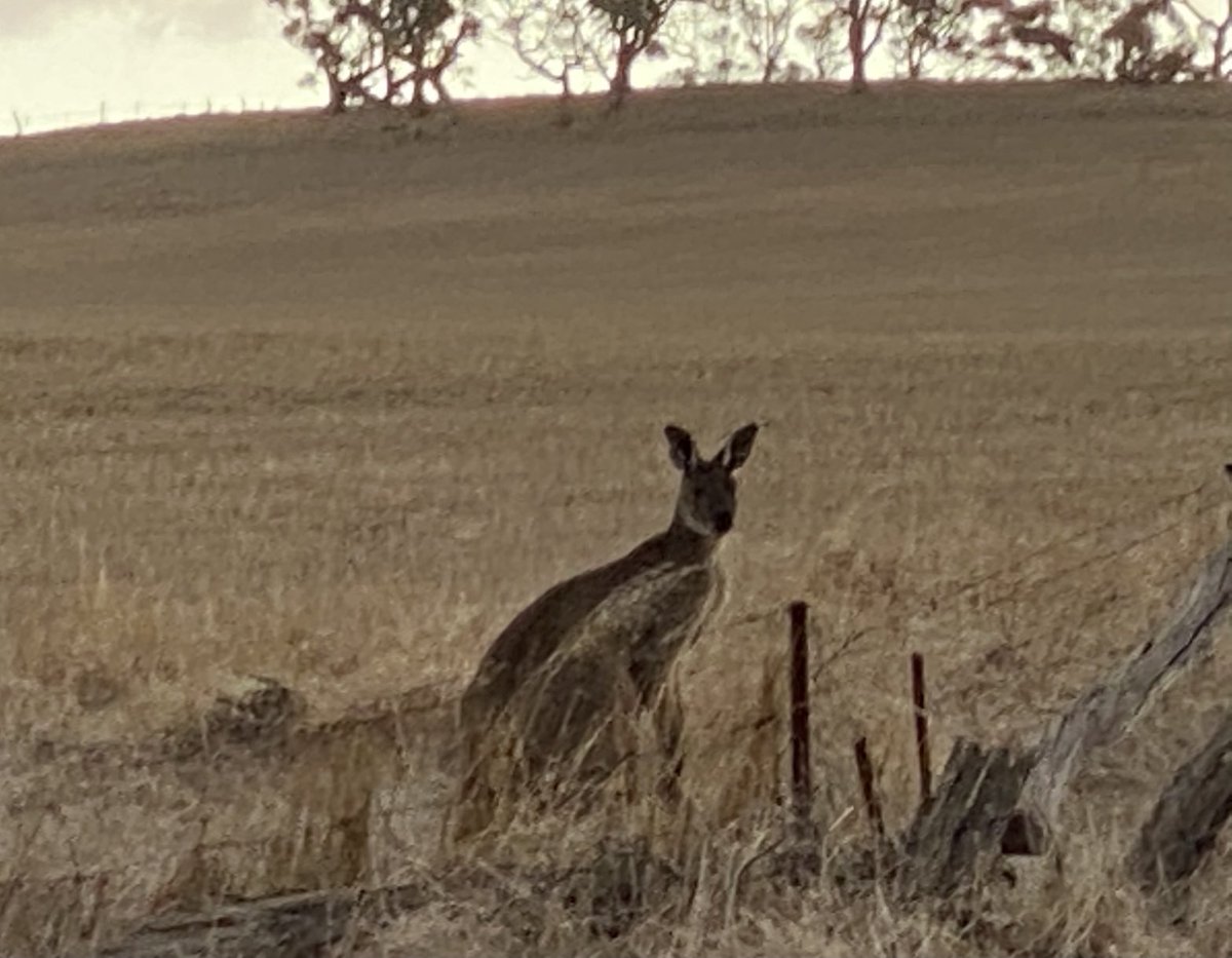 Ok wine lovers...
Where am I now ?