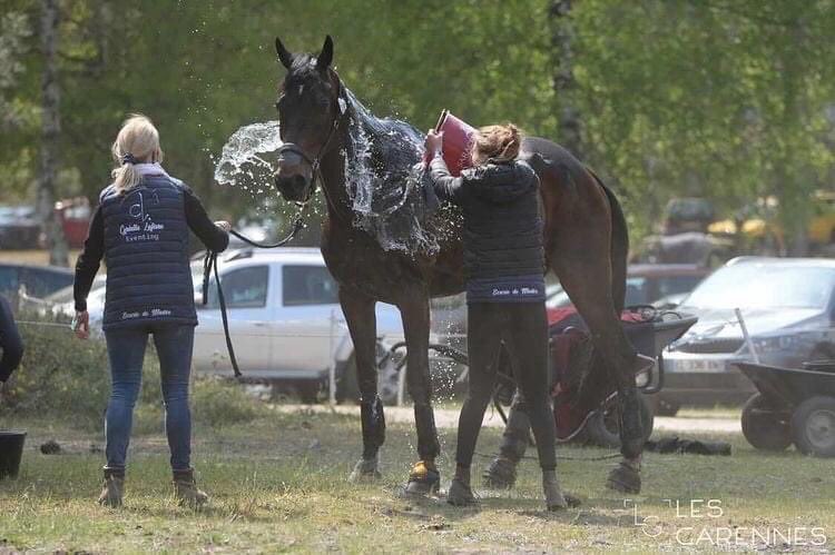 sasissport's tweet photo. Bravo à nos 1️⃣8️⃣6️⃣ Cyrielle LEFEVRE et ARMANJO ❗️10èmes du CCI 4*L de Saumur 🇫🇷 et qualifiés pour le 5*L de Pau 🇫🇷
📸 Photos Les Garennes https://t.co/nx9YwVsWo3