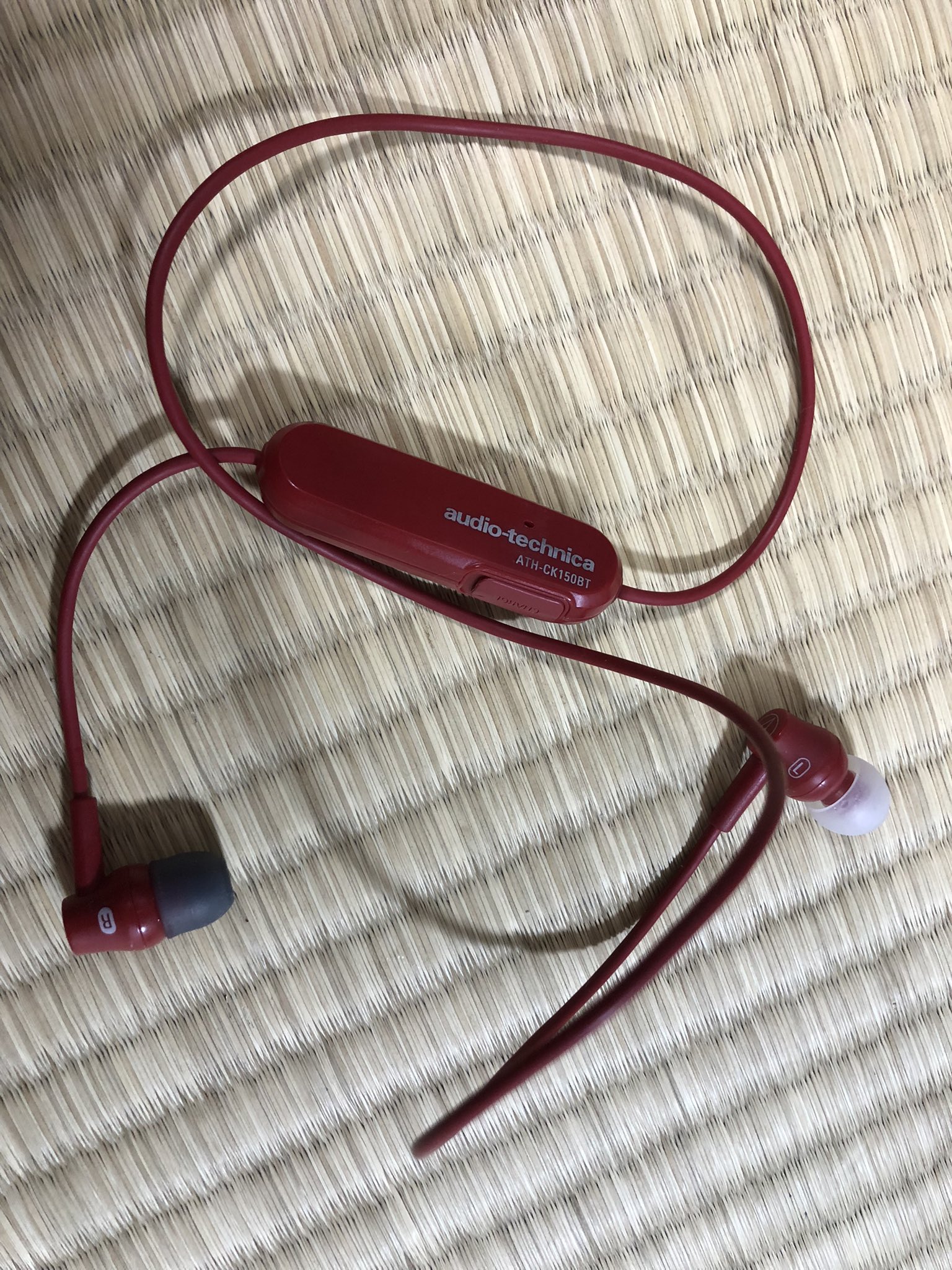 冒険のたび きゃのん ハイターで2時間つけた後 洗濯機で45分回したけど生きてた 生命力ゴキブリイヤホン現る ごめんね気をつけるね T Co Ynmlffnllz Twitter
