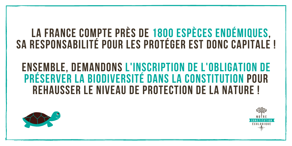 Notre Constitution Ecologique tweet media