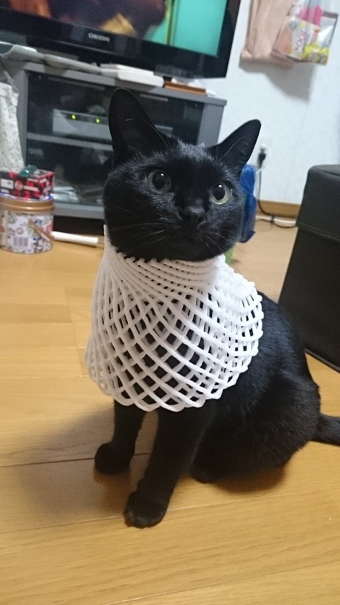 バステト神コスプレの猫さまが可愛すぎる「癒やされるコスプレ」「果物