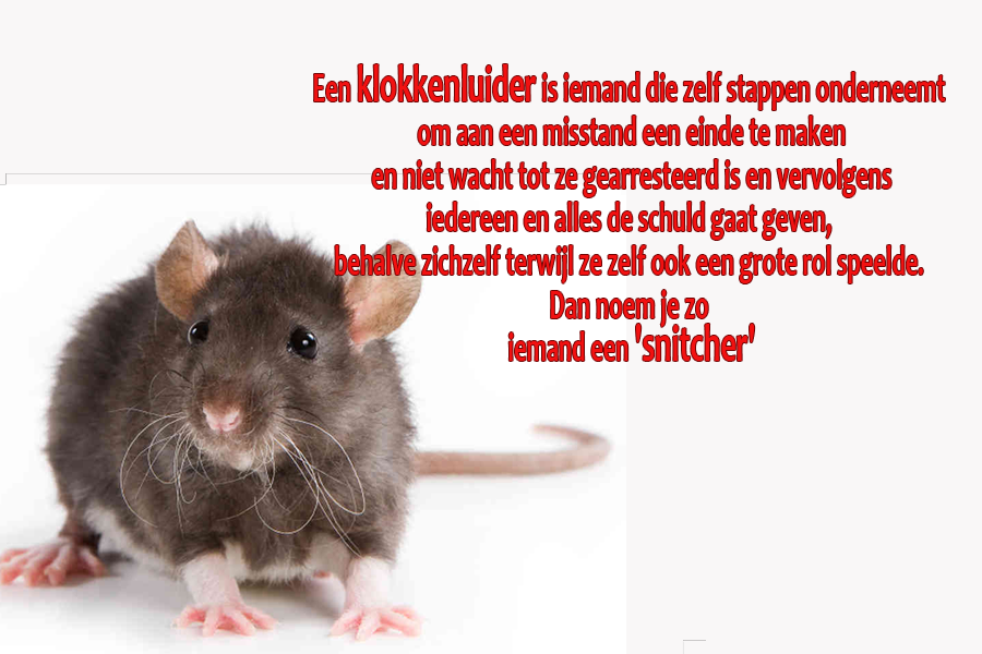 dynd21's tweet photo. @SandravanDalen7 @Yvonbrinkerink @Nomediocre_P @arja_brink @is_weer @ExpressTheVezz @JDTVproducties Terwijl het #zorgbedrijf, dit toch gefaciliteerd heeft, want  er moesten facturen komen, die konden de ouders zelf niet produceren. Dan kan je niet beweren dat je een #klokkenluider bent, dat ben je niet. Wel een #snitcher die de schuld op haar #clienten probeert te schuiven. https://t.co/7OO9HkzNFP