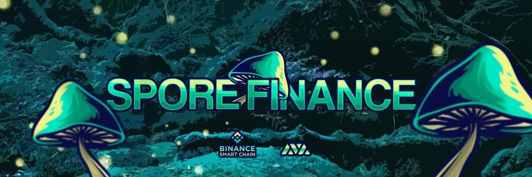 Renevdm1308's tweet photo. @SporeFinance Hi Shrooms,

Join Spore Finance Official and help us spread the spores!
Let's create the biggest community together and share our moon event and group amongst your fellow crypto investors!

Thank you for hodling!

https://t.co/MAVSwjttza https://t.co/GIjIbYFomo