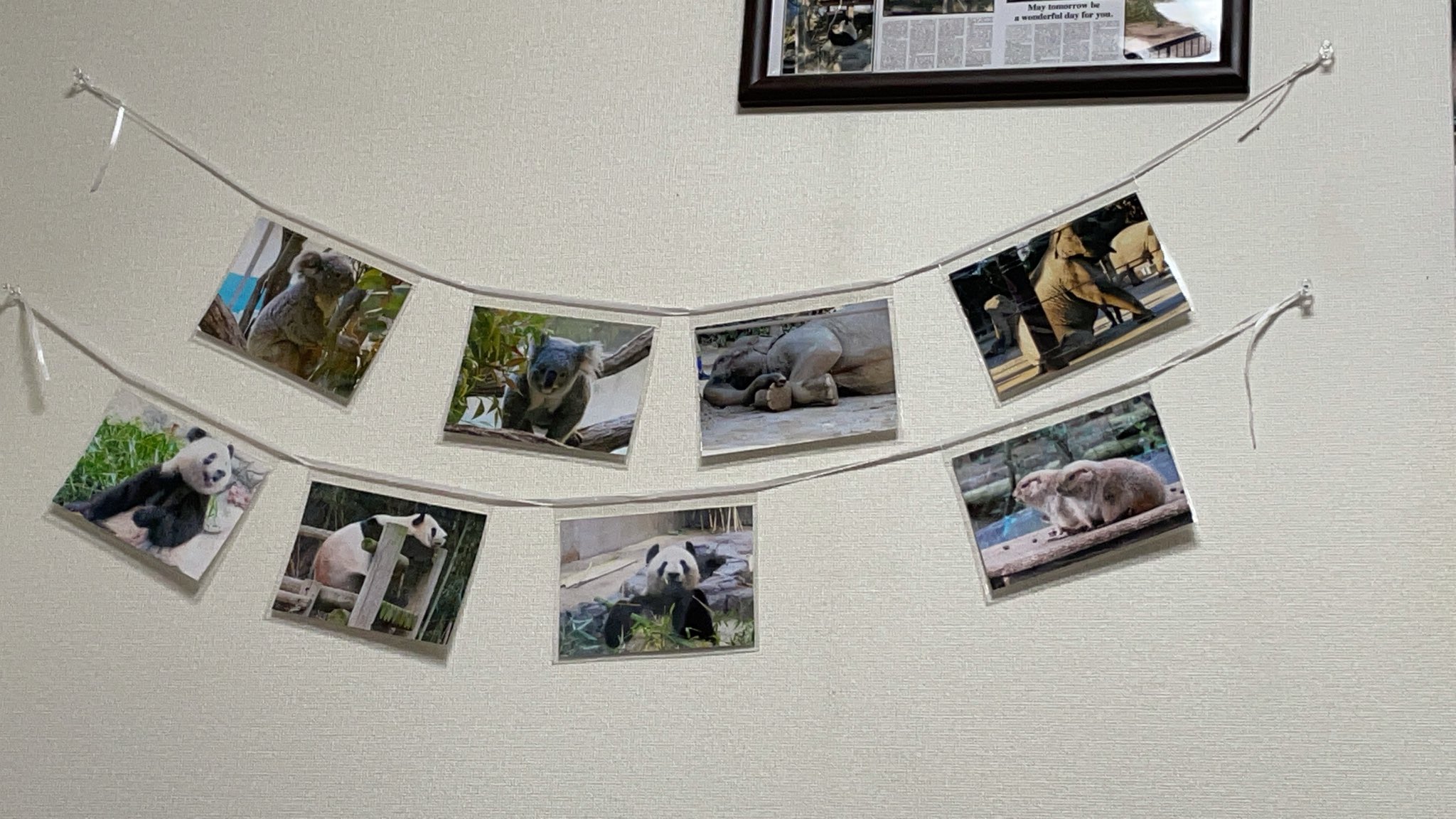 写真ガーランド Twitter Search Twitter