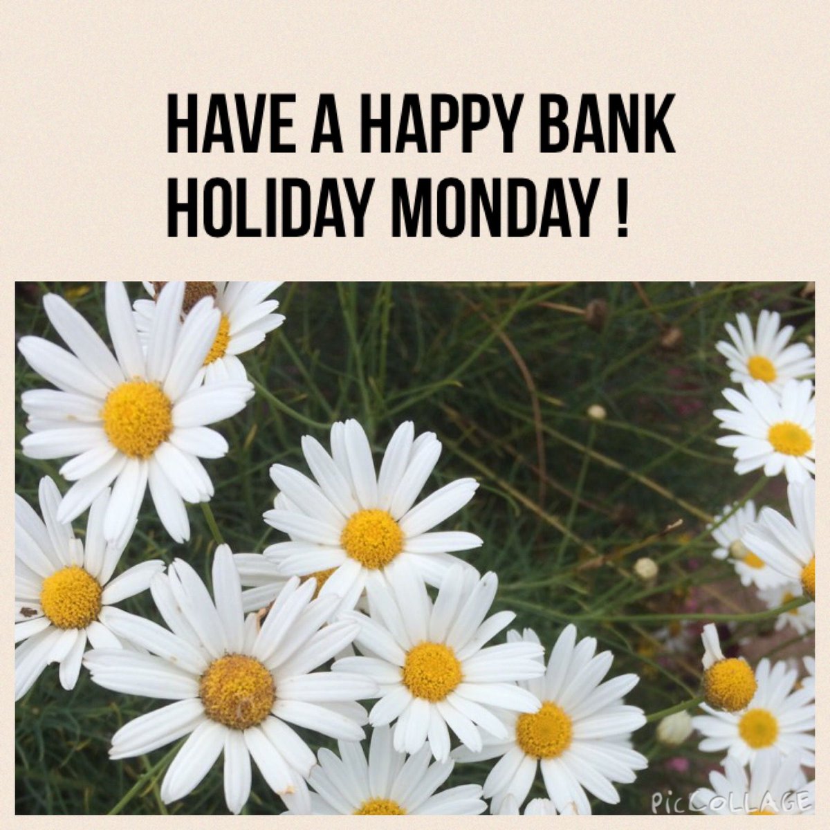 LittleAngelsMar's tweet image. Have a great bank holiday Monday!

Whatever you get up to, from going on a rainy walk to snuggling up with a cosy film make memories with your little angels 💙

See you tomorrow!