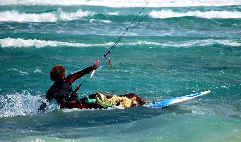Isa_Surferita's tweet photo. @guardiacivil @utmmarine Un grande Mitu Monteiro. Campeón del mundo de kitesurf en olas. Salvó a la tortuga haciendo kite. https://t.co/iicYkk3Fwr