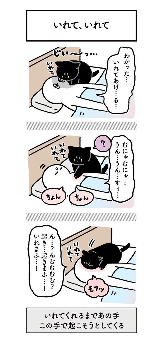 夜中、ねこの「布団の中にいれてください」アピールに起こされてる日常の絵日記 #ろんの絵日記 