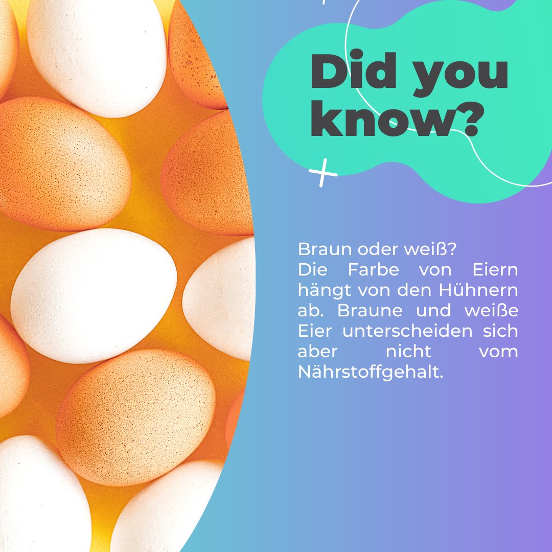 Braun ist nicht immer besser, zumindest nicht bei Eiern. Die Farbe des Eies hängt von der Rasse, bzw. der Pigmentierung des Huhns ab. Was den Nährstoffgehalt angeht, unterscheiden sich beide allerdings nicht.