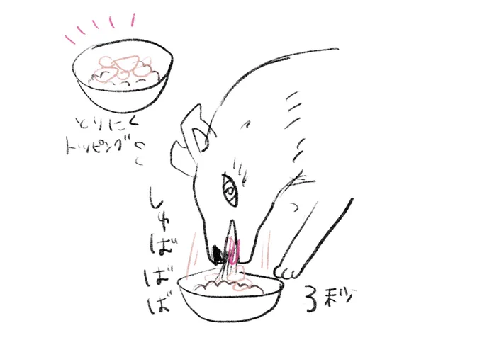 サンにとって鶏肉は飲み物、噛まない、、、 