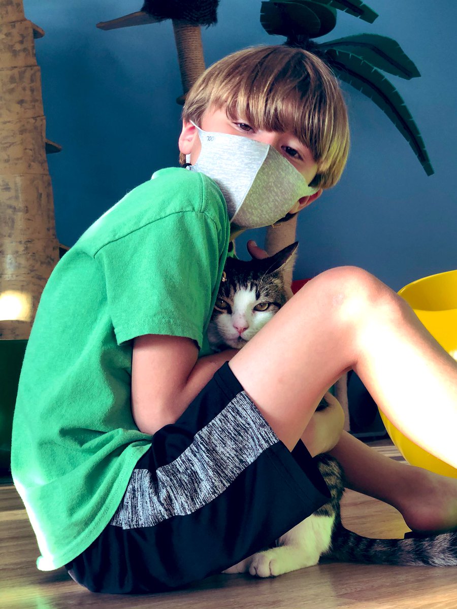 MsSchwartzman's tweet photo. When coworkers become friends, and then become family. Loved being able to celebrate Jase’s birthday at the Cattyshack and play with all the kittens! @Sindledec1Tracy https://t.co/zRc7oSb8QQ